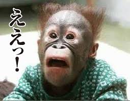 顔はタイプだけど嫌いな芸能人
