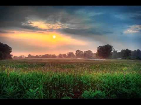 小さな木の実（stereo for hedphone） - YouTube