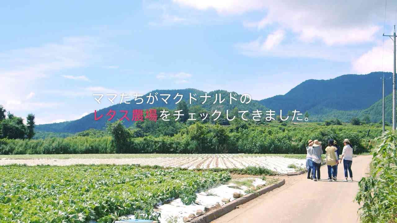 『ママズ・アイ・プロジェクト』レタスの生産農家が見たい！ - YouTube