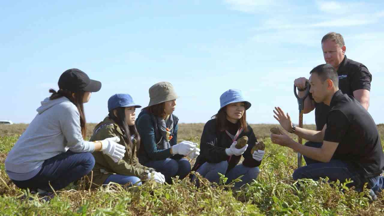 『ママズ・アイ・プロジェクト』なぜ工場でポテトを揚げるの？どんな油で？ - YouTube