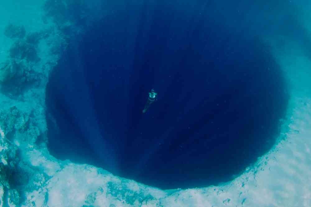 綺麗な海中の写真が集まるトピ