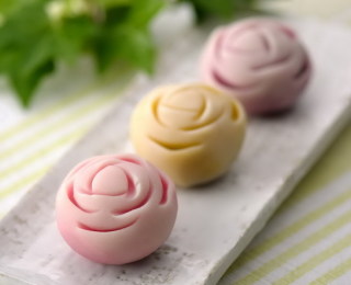 薔薇の画像を持ち寄りましょう