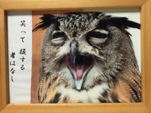 ガルちゃんどや顔グランプリ♬