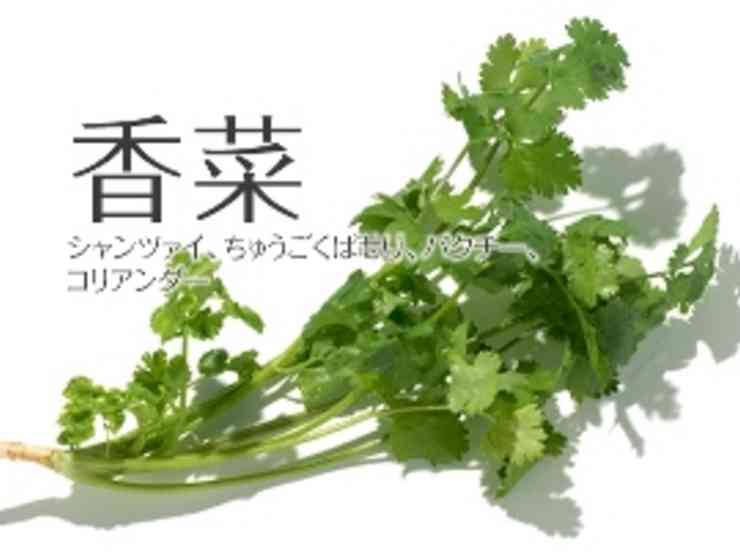 どうしても食べられない苦手な食べ物