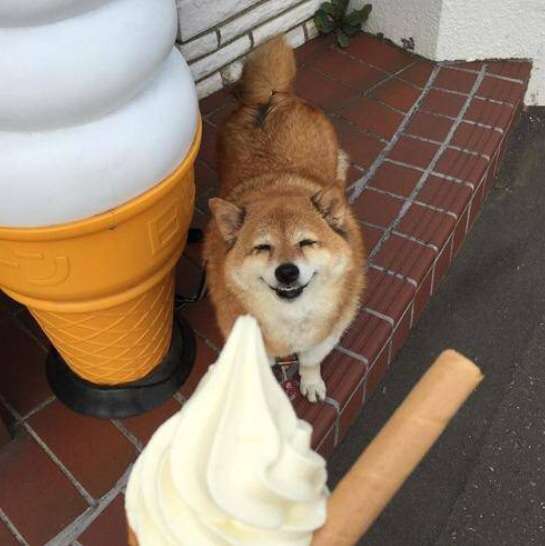 最近和んだこと。