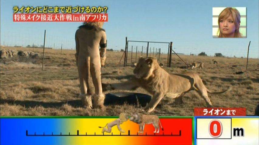 いとうあさこ「イッテQがしんどい」年齢的に無理があると弱音