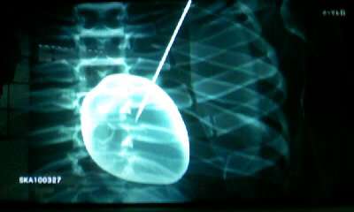 『必殺仕事人』好きな人！