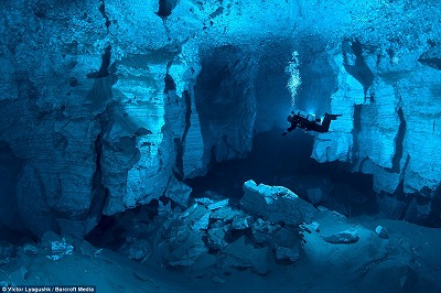 綺麗な海中の写真が集まるトピ