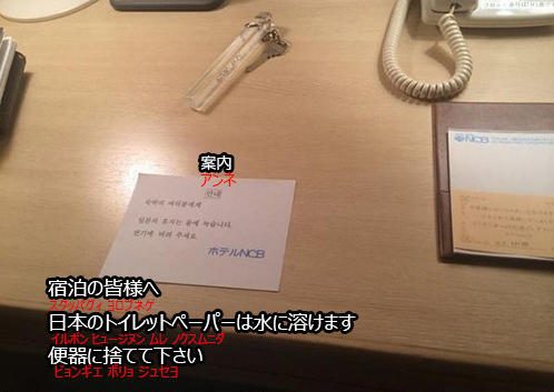 益若つばさ、韓国に衝撃のトイレがあったことを報告