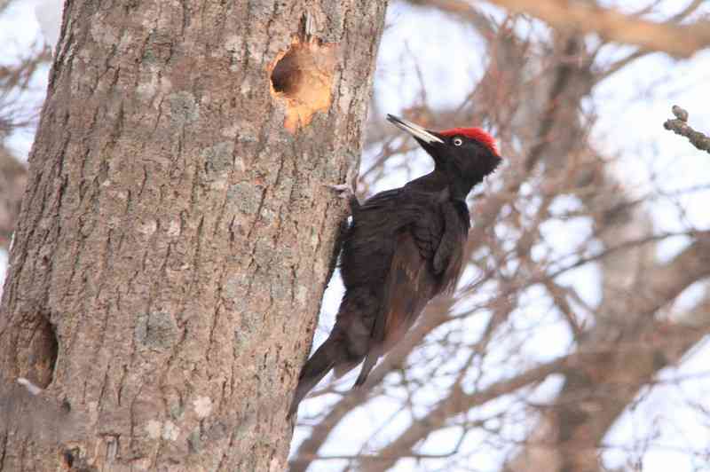 【実況・感想】『世にも奇妙な物語 25周年記念！秋の2週連続SP～映画監督 編～』