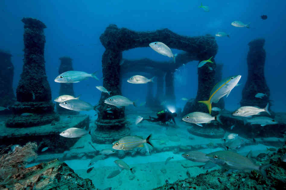 綺麗な海中の写真が集まるトピ