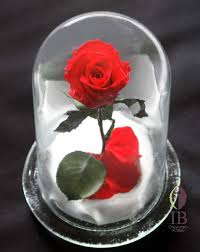 薔薇の画像を持ち寄りましょう