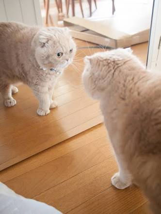 自分って○○なんだと痛感する時