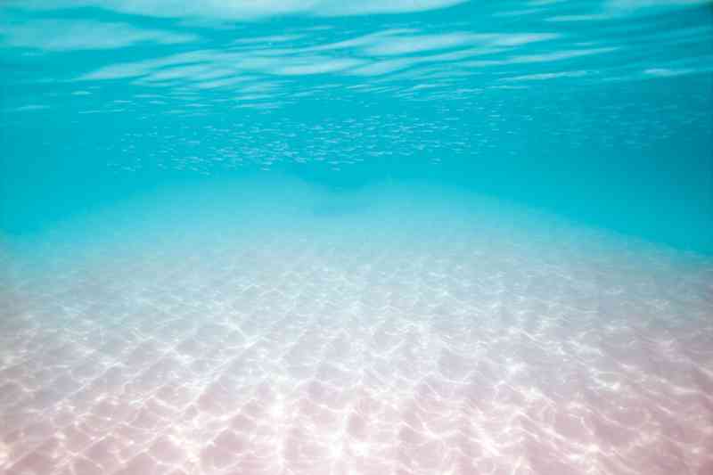 綺麗な海中の写真が集まるトピ