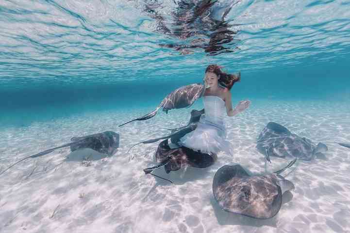 綺麗な海中の写真が集まるトピ