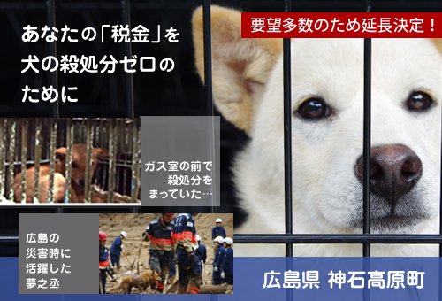 あなたの「税金」を犬の殺処分ゼロのために | ふるさと納税のクラウドファンディングは「ふるさとチョイス」