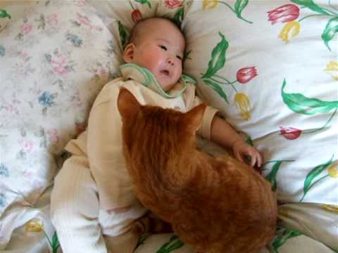 ハグ♪ - YouTube