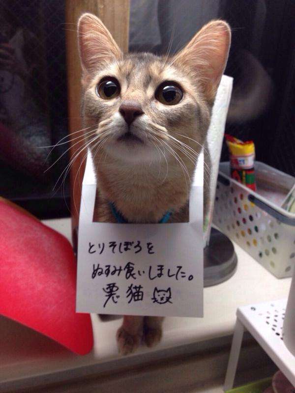 これやらかしたことある？ない？
