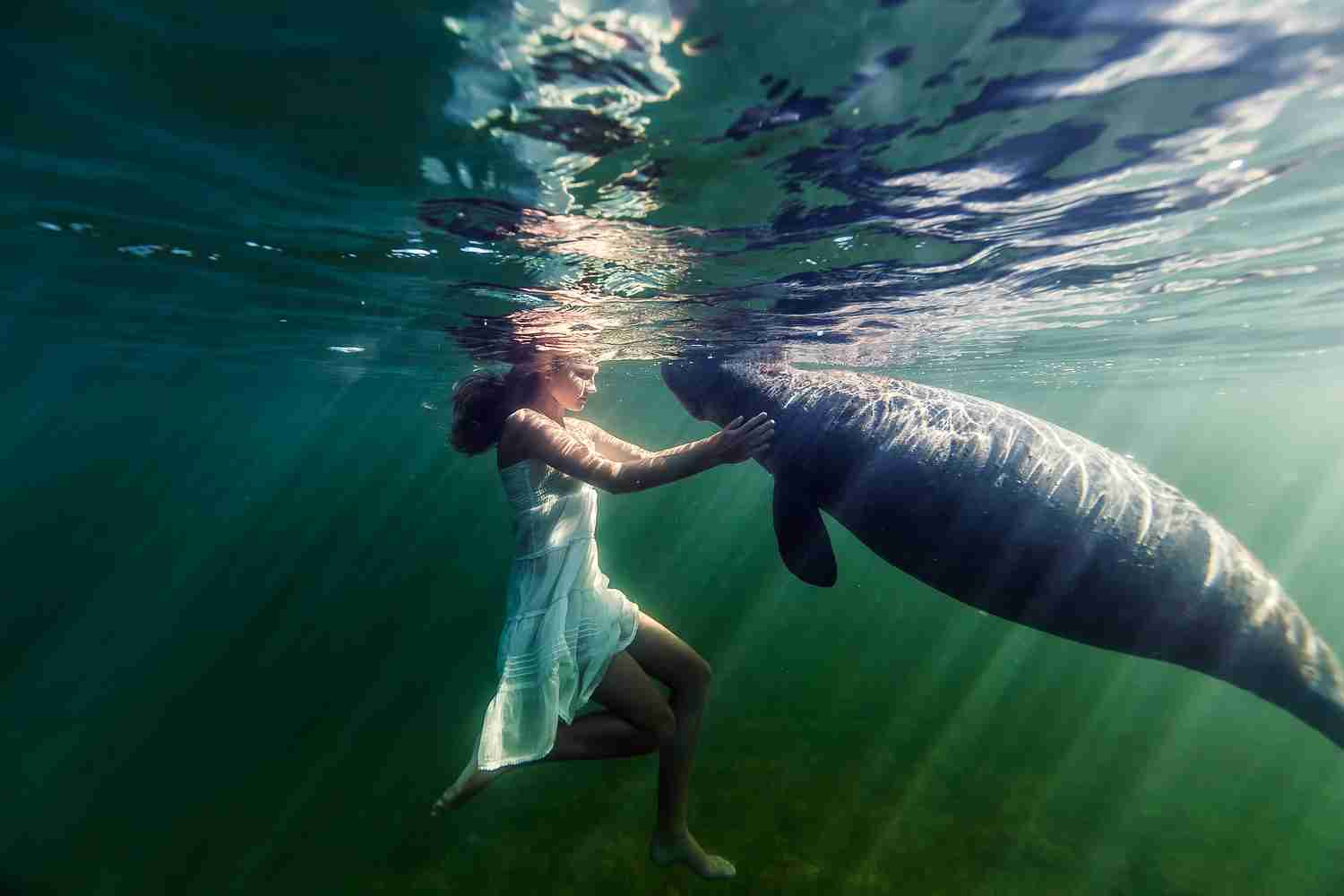 綺麗な海中の写真が集まるトピ