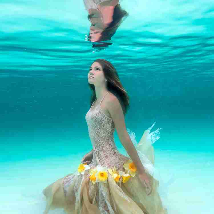 綺麗な海中の写真が集まるトピ