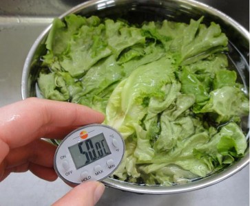 野菜の洗いかた