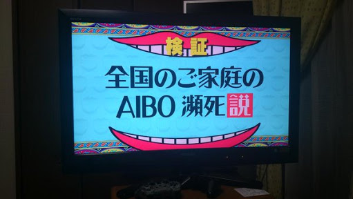 いまいち定着しないで終わったもの