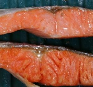 お弁当のすき間を埋めるおかず