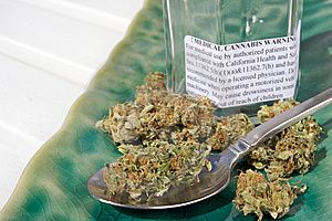 「大麻吸った」小6男児が小学校教師に衝撃の告白 京都府警、児相への通告検討