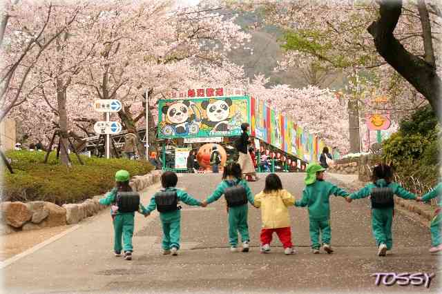 動物園と水族館(どっちが好きですか?)