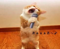 ガルちゃんどや顔グランプリ♬