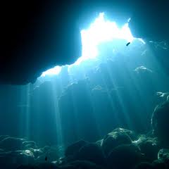 綺麗な海中の写真が集まるトピ