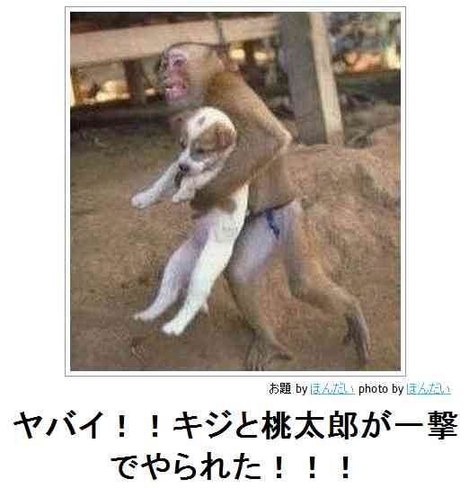 今までで一番笑った画像を貼ろう