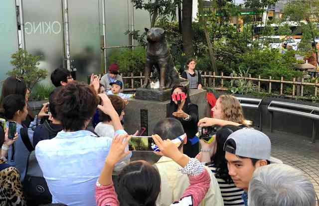 ハチ公の足元に猫を置く男性「街の人々の癒やしになってほしい」…一方で「かわいそう」「動物虐待」の声も