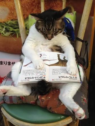 ガルちゃんどや顔グランプリ♬