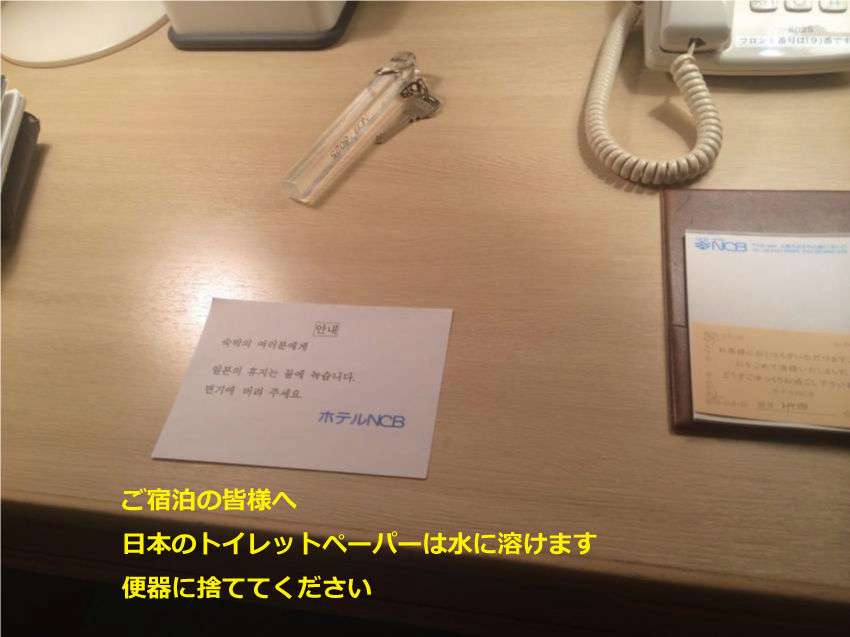 益若つばさ、韓国に衝撃のトイレがあったことを報告