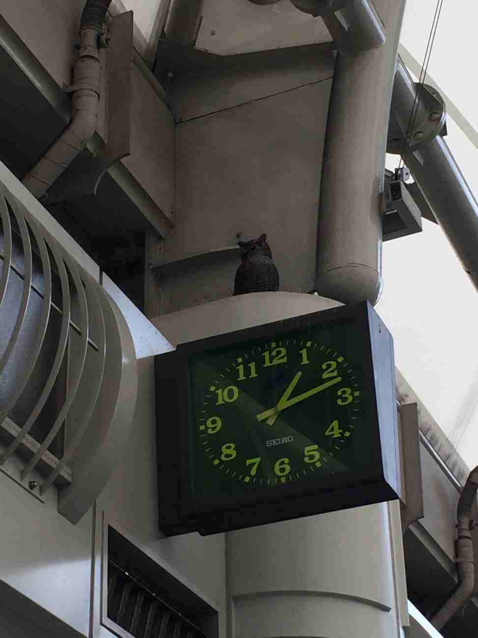 好きな駅はどこですか？
