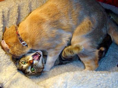 人類史上最も偉大な人間は誰ですか？