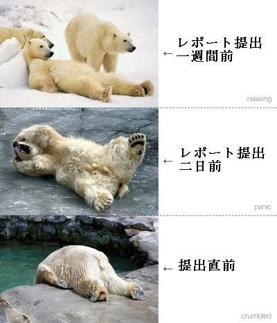 3連休が終わって絶望してる人も多いと思いますが、ここで連休中と連休明けの猫ちゃんの様子を見てみましょう
