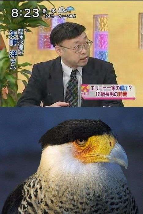 完全一致画像で笑うトピ