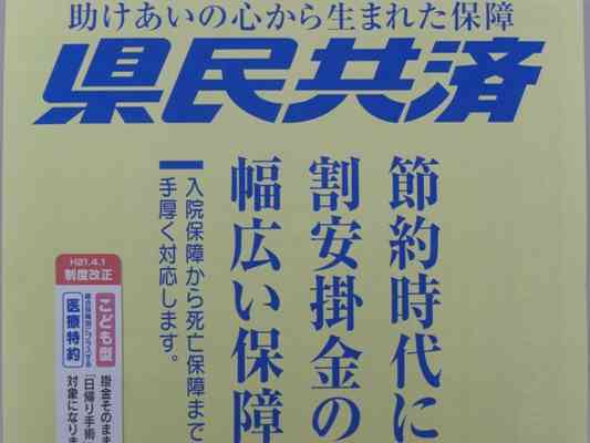 どんな保険に入ってますか？