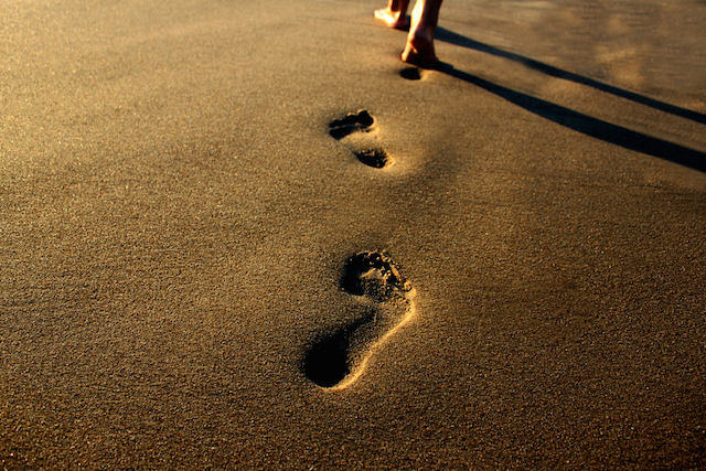 ここに至るまでのあなたの人生を箇条書きで三行にまとめてください 