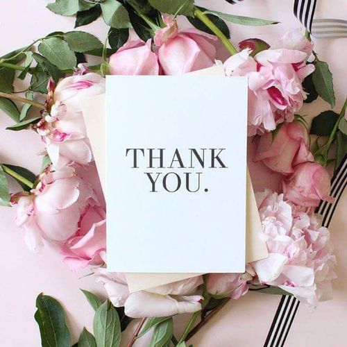 薔薇の画像を持ち寄りましょう