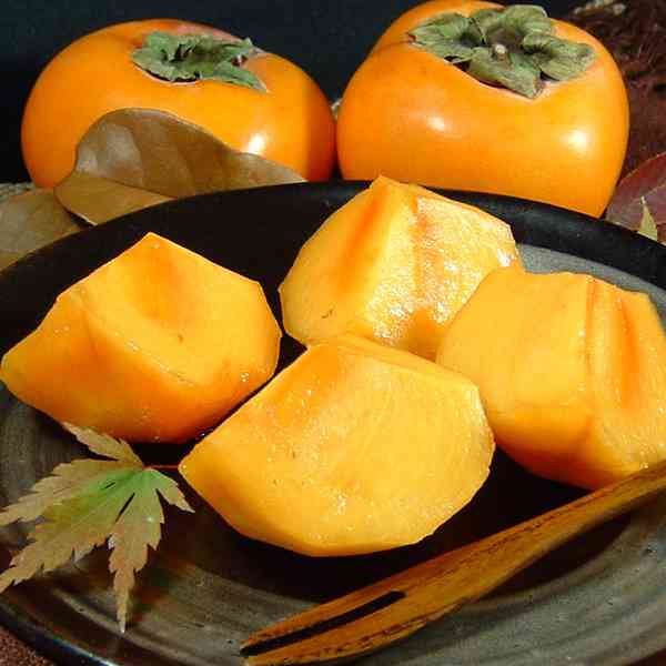 寝る前に考えよう!明日食べたいもの♫
