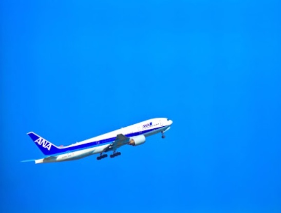 海外旅行に必ず持ってくものって何ですか？