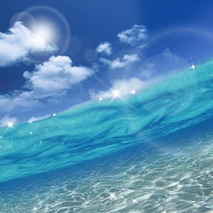 綺麗な海中の写真が集まるトピ