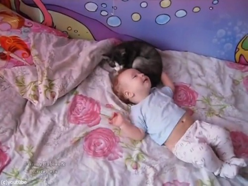 わんわん泣く赤ちゃんをあやす…やさしい猫が可愛い！