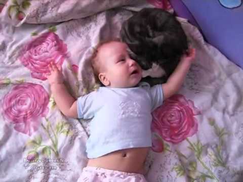 Сute Сat Soothing Crying Baby - YouTube