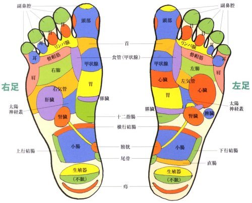 入院中に何をしようo(*゚∀゚*)o