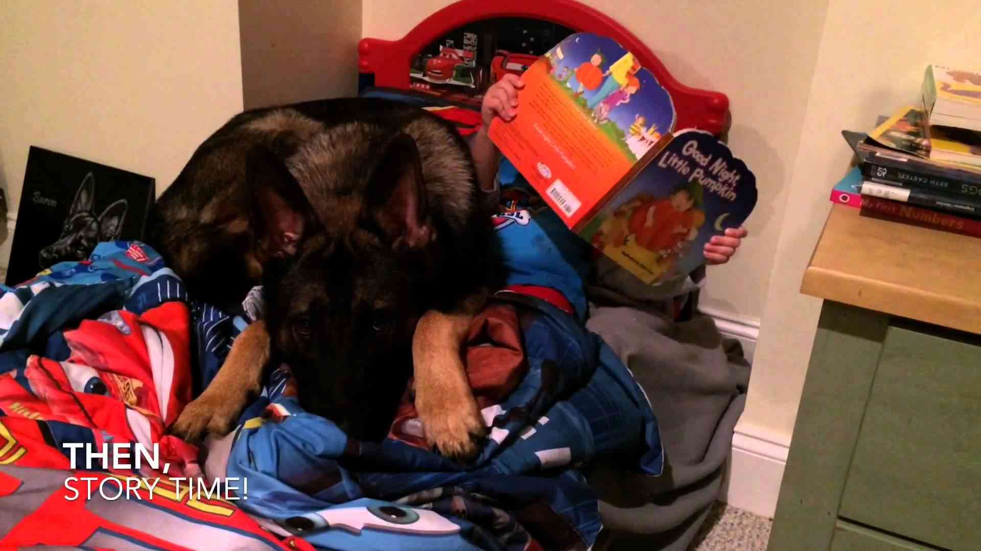 "Bedtime" featuring Baron The German Shepherd - YouTube