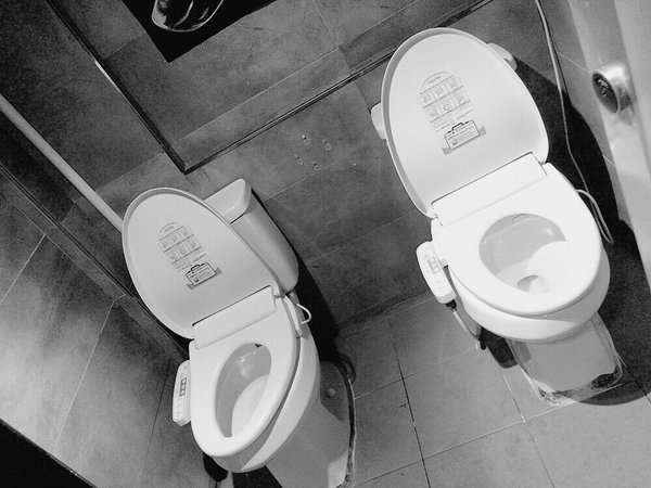 益若つばさ、韓国に衝撃のトイレがあったことを報告